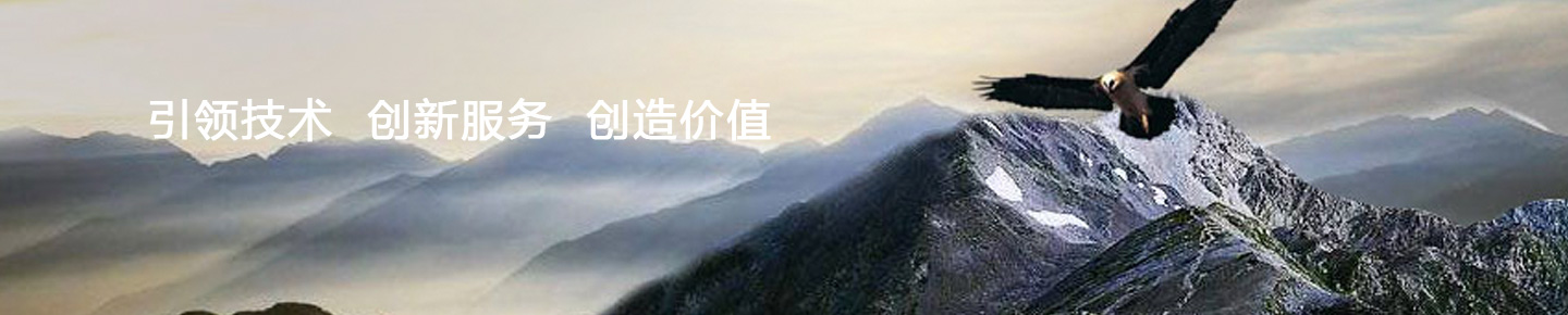 E世博新闻